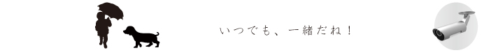 いつも、つながっているネ